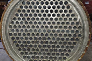 Environmentally safe